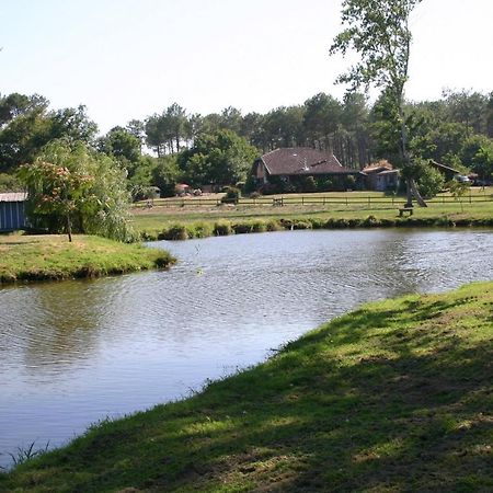 Gite 4Kms Plage Grand Domaine Prive Lacs Natura 2000 Lit-et-Mixe Dış mekan fotoğraf