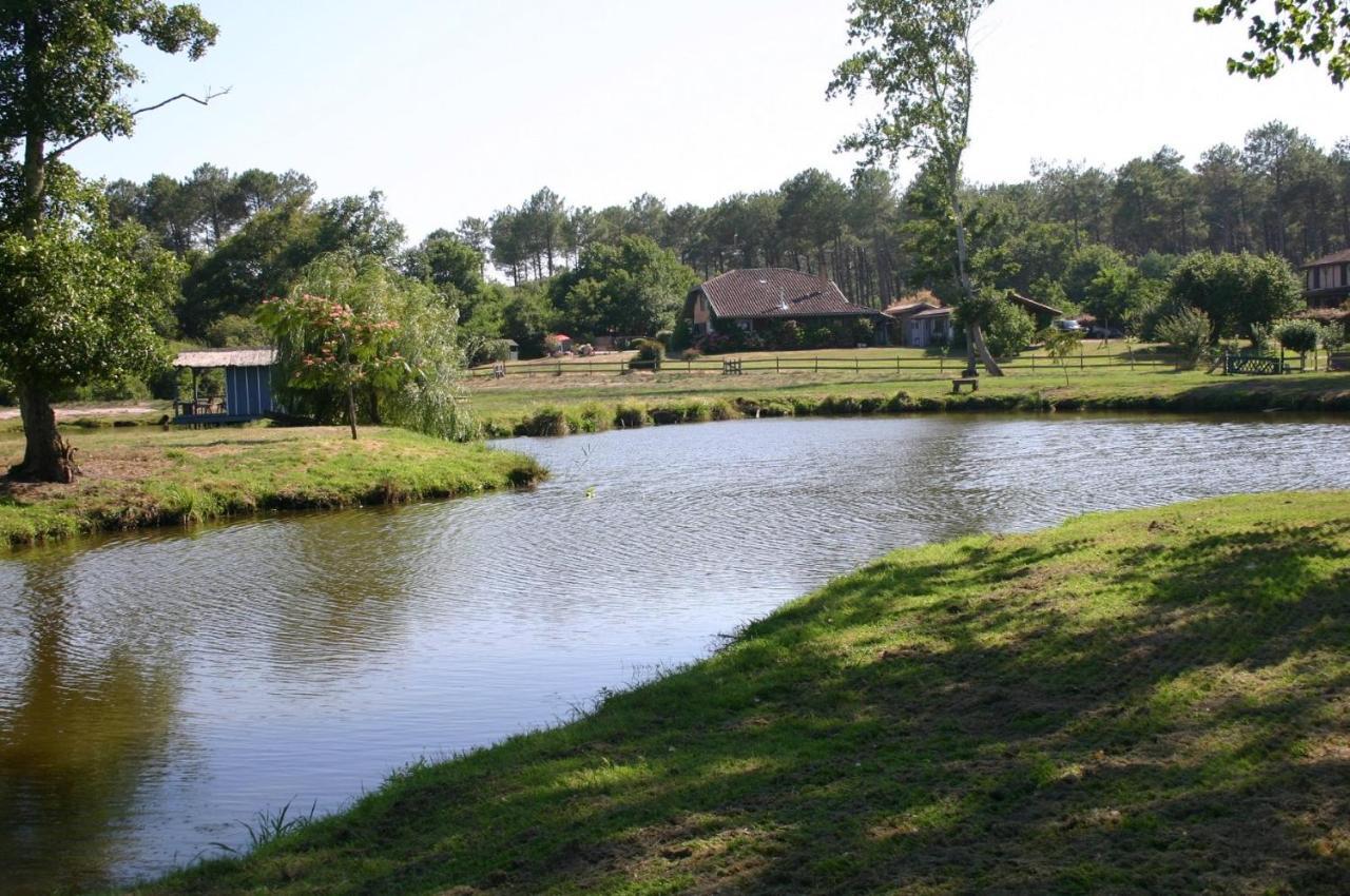 Gite 4Kms Plage Grand Domaine Prive Lacs Natura 2000 Lit-et-Mixe Dış mekan fotoğraf